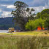 Strandcamping Montargil Stausee, Tierarztbesuch