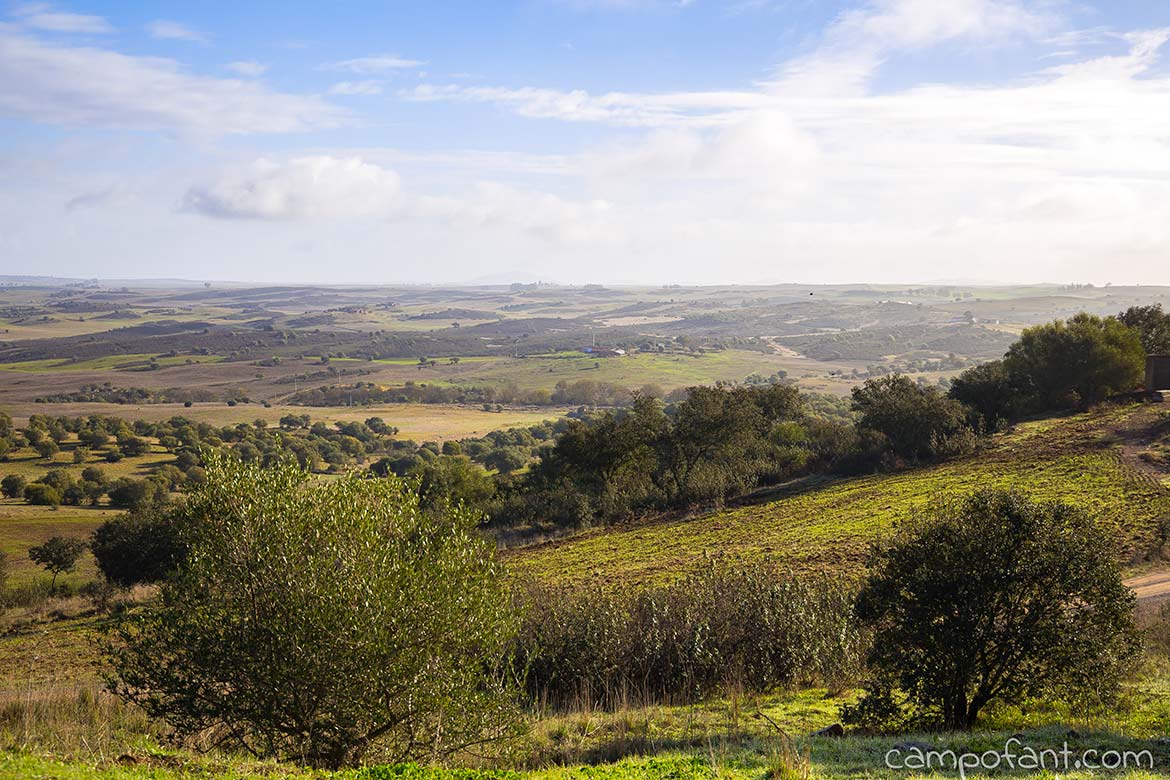 Castro Verde Panorama