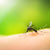 Mückenstich, Insektenstiche, Hausmittel, Anti-Mücken-Spray