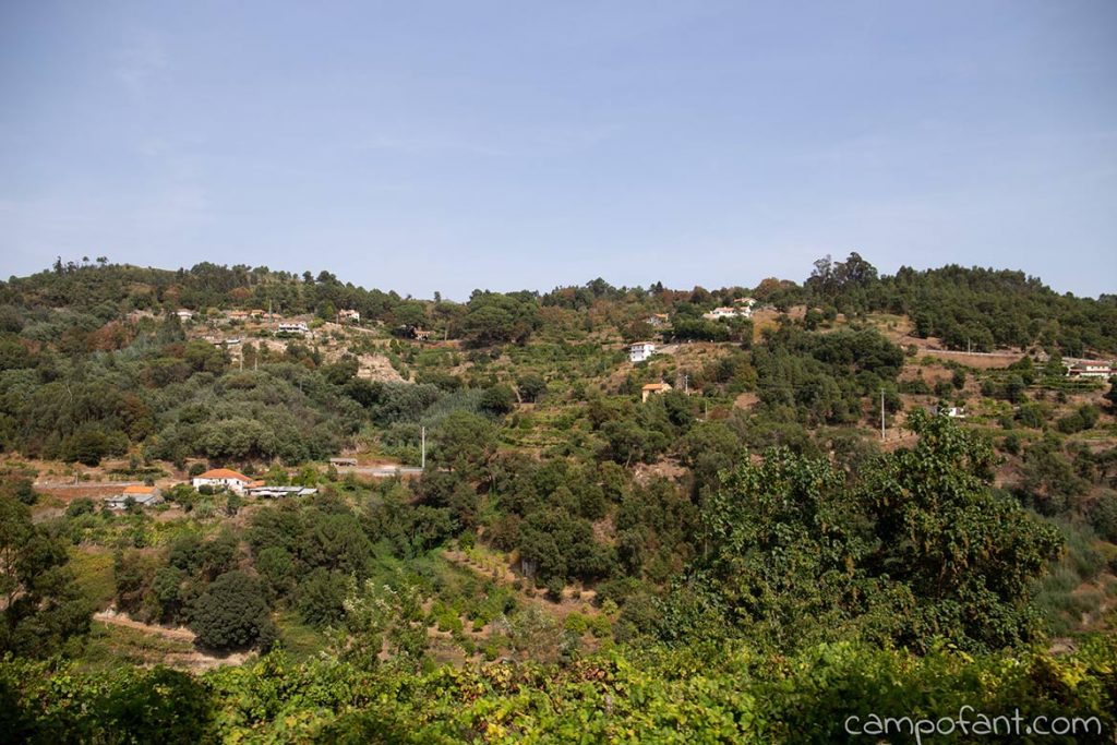 Roadtrip Douro, Portugal