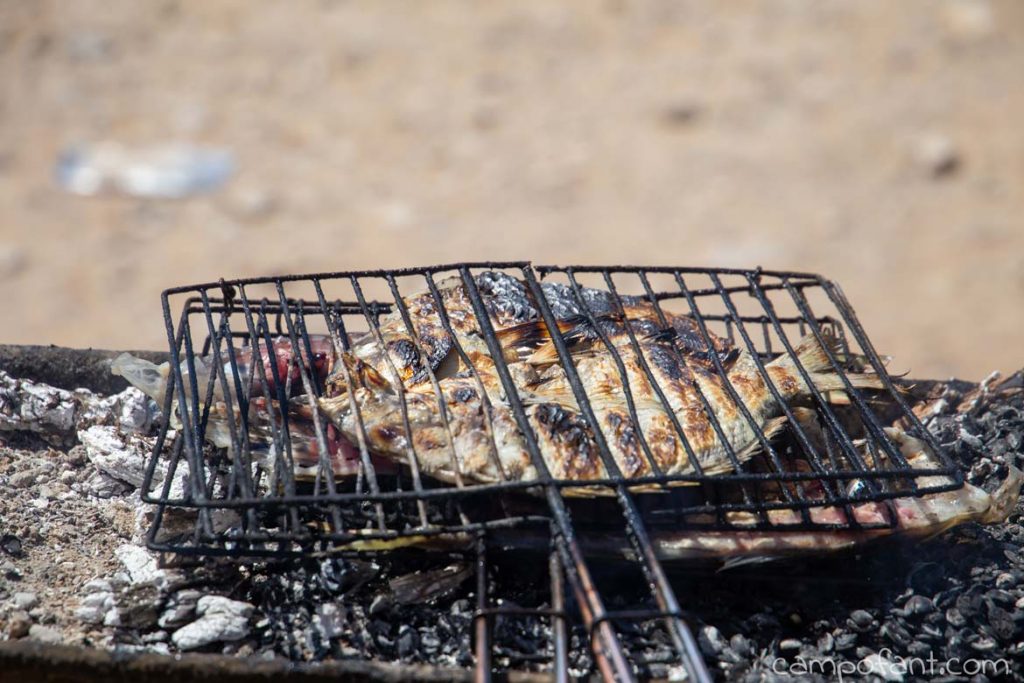 Fisch
