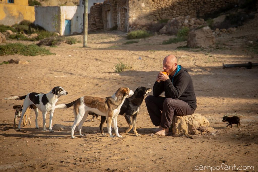 Hundefamilie