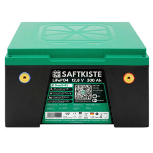 Saftkiste 300Ah LiFePO4 12V