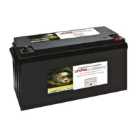 Büttner 180Ah LiFePO4 MT-LI-180