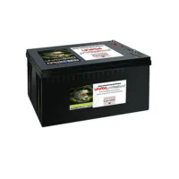 Büttner 300Ah LiFePO4 MT-LI-300