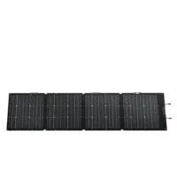 EcoFlow bifaziales 220 Watt NextGen Faltmodul