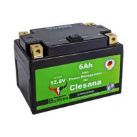 BullTron 6Ah Batterie inklusive Power Management für Clesana Toilette