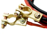 Batterieanschlusskabel mit Polklemmen 6 mm2