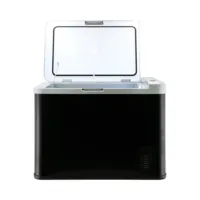Mestic MCC50 Kühlbox von vorne