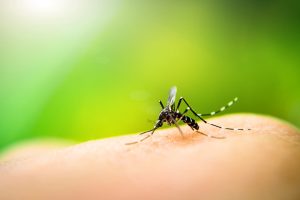 Mückenstich, Insektenstiche, Hausmittel, Anti-Mücken-Spray