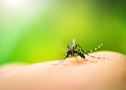 Mückenstich, Insektenstiche, Hausmittel, Anti-Mücken-Spray