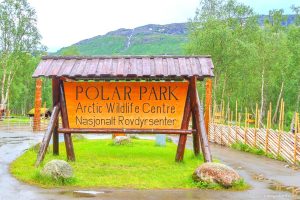 Norwegen Polar Park Bardu