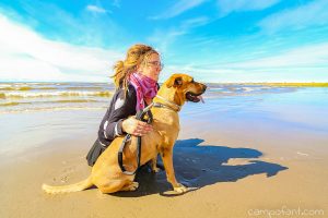 Norwegen Urlaub mit Hund, Einreise, Einreisebestimmungen